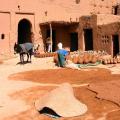 sud Tamegroute poterie